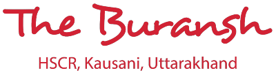 The Buransh logo red